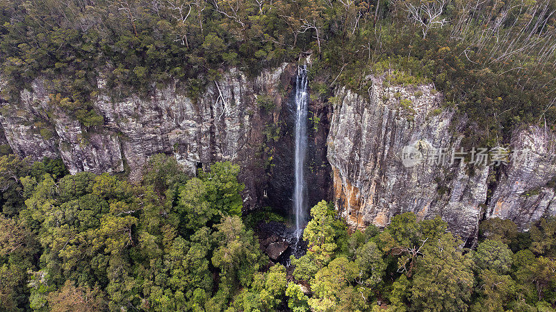 彩虹瀑布，Springbrook NP靠近黄金海岸，澳大利亚